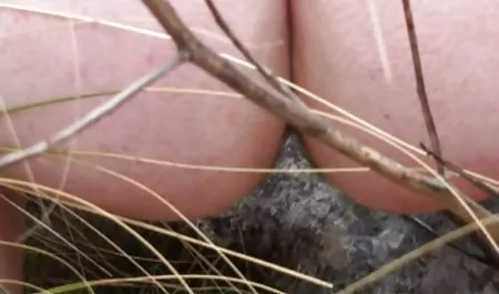 Vollbusige Blondine fickt kostenlose erotikfilme reife frauen sich in den Arsch