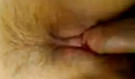 Doppelte Penetration für Bree neue geile pornos Haze